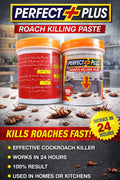 Roach killing paste